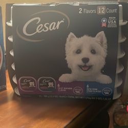 Cat Food Cesar