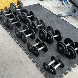 5-50 Ibs Dumbbells 