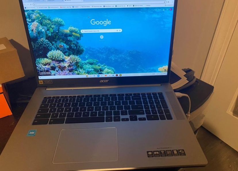 Acer Chromebook 317