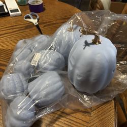 Blue Decorative Pumpkins 