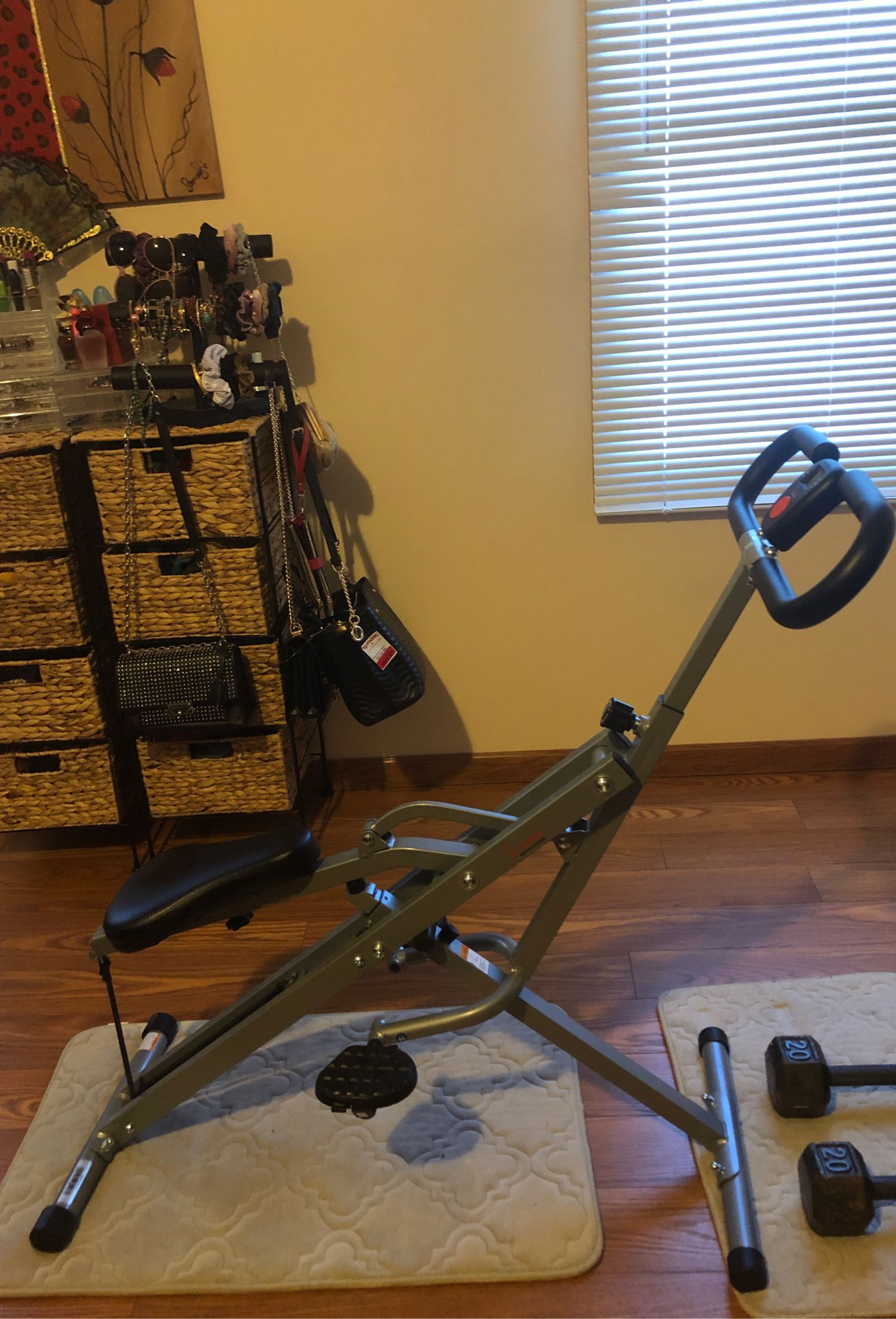 New Sunny, health and fitness exercise equipment