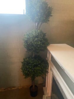 Trees decor