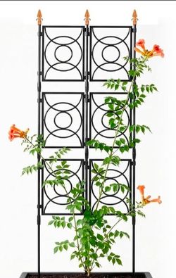Plant trellis
