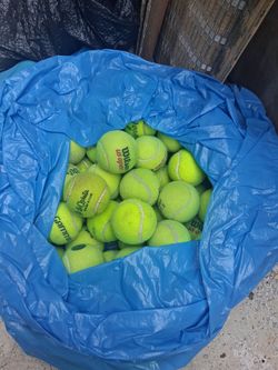 tennis balls for $20, chairs, t-ball, dog chase