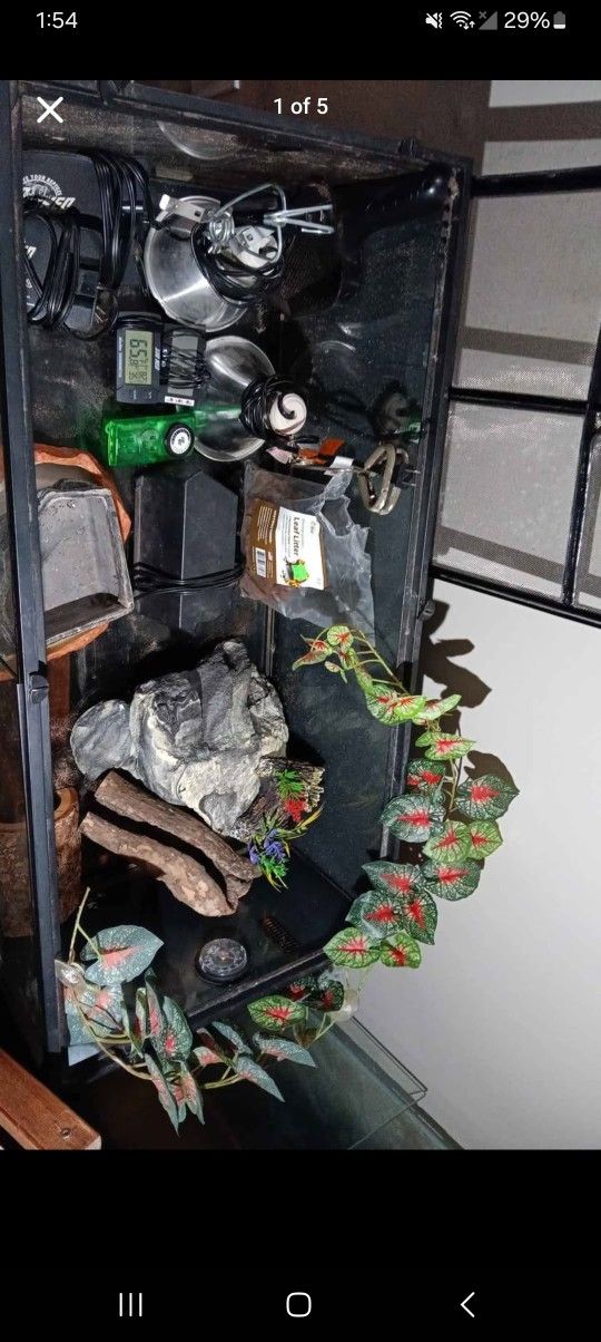Reptile Enclosure Plus Accessories
