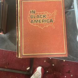 In Black America Book 