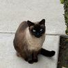 Kiki