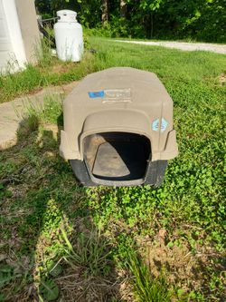 Dog House