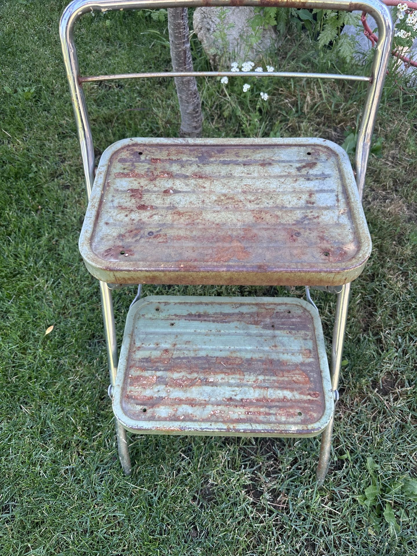 Plant Stand Or?