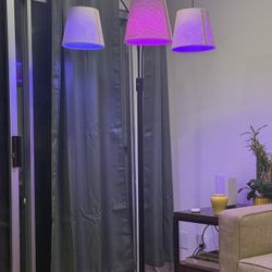 Floor Lamp With Smart Lights