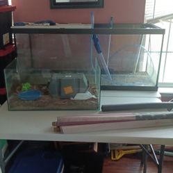 70 Gallon And 40 Gallon Tank