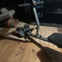 Sunny Rowing Machine.