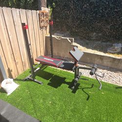 Work Out Bench 