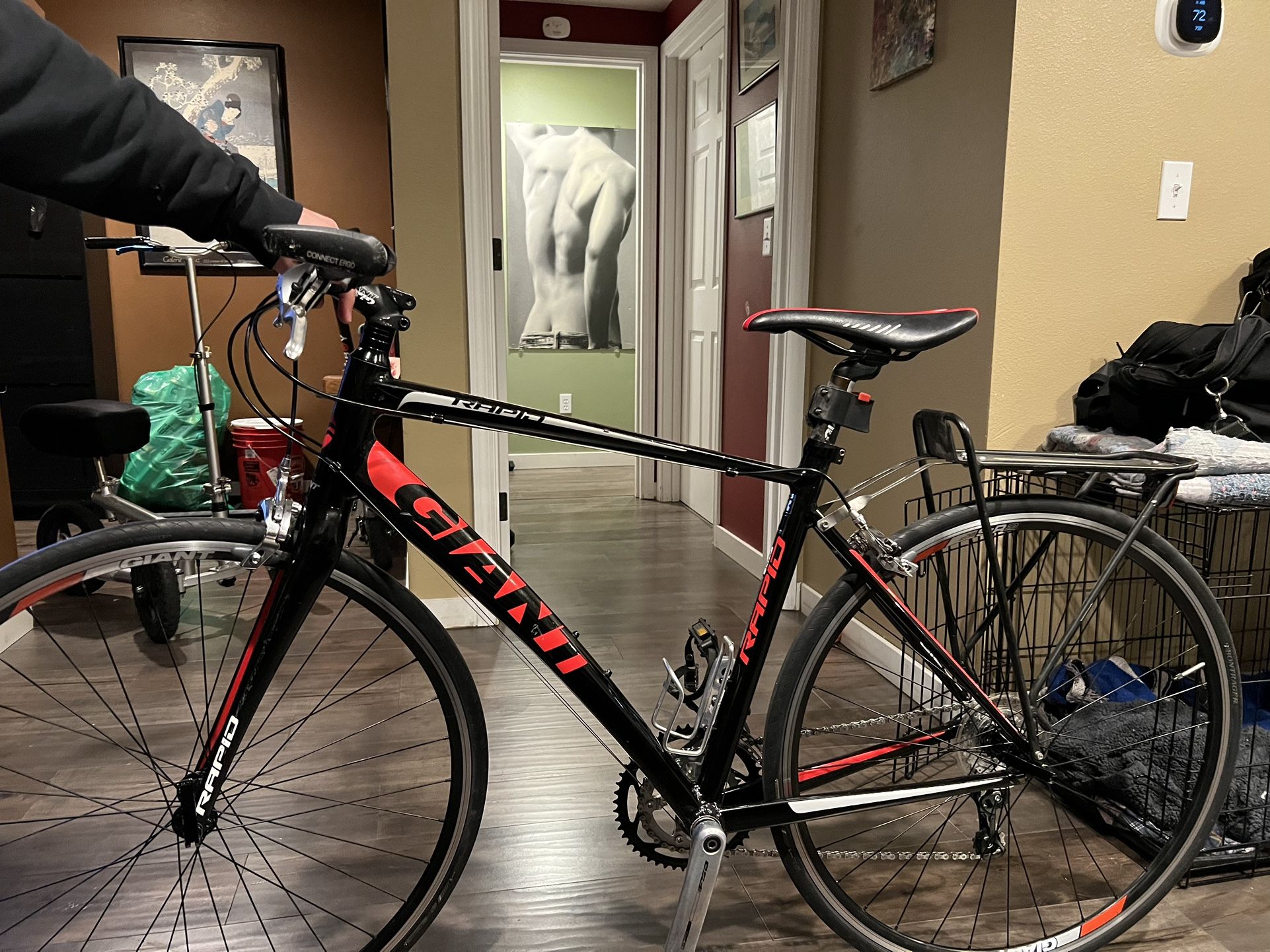 56 cm Giant Rapid Fluid Form Bike