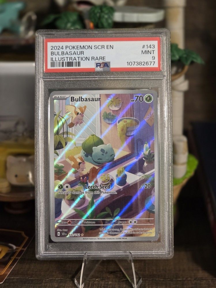 Pokémon Cards