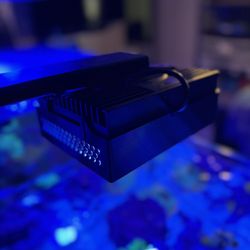 AI Hydra 3hd Light Diffuser