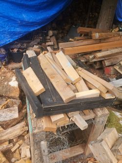 2x4 shorts