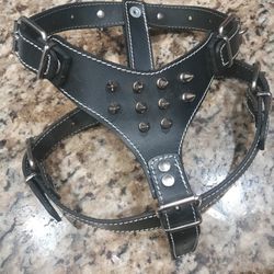 Harness S/M