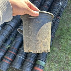 1 Gallon Pots