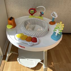 Skip Hop Activity Center Baby Toy