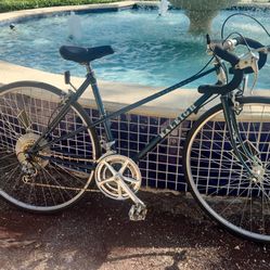 Raleigh Bike Frame 52 