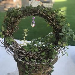 $13 Wreath Plant