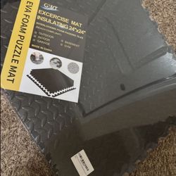 $60 6 Gym Mats 24x24