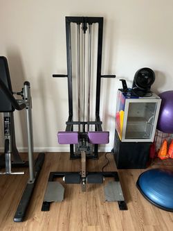Cable Machine Hamstring Leg curl