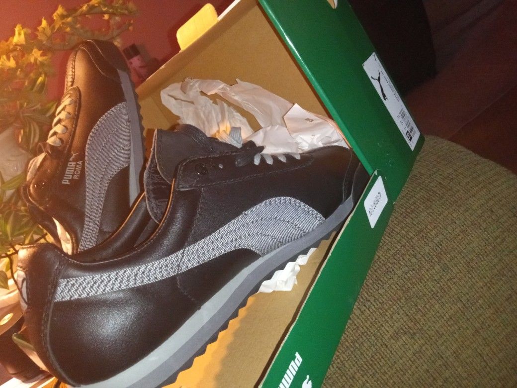 This are Size 12 The Reason Why I Went $50 For Them Is Because They Are No Other Sneakers For Sale In Store Or On Line $50 Or