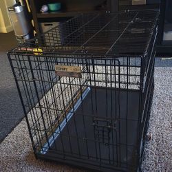 Medium Crate For Medium Dog