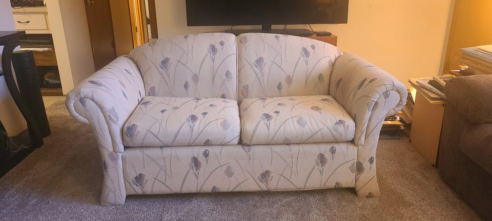 Nice Loveseat Couch Free !