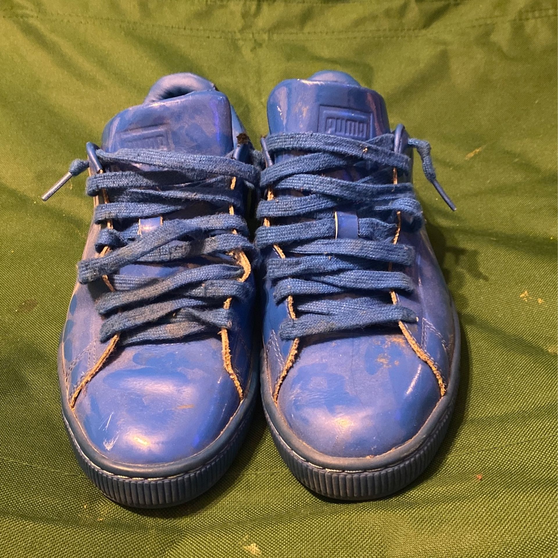 Pumas