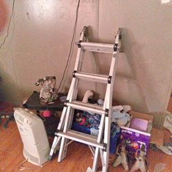 Little Giant Ladder