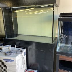 120g Peninsula Tank $750