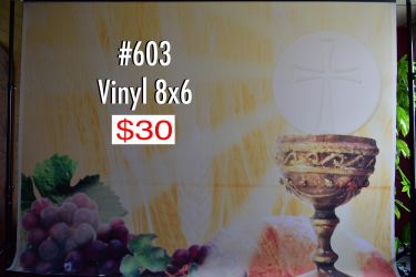 Backdrop en Vinyl para Estudio Fotográfico