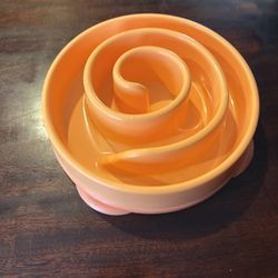 Slow Feeder