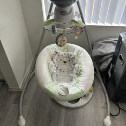 Baby Swing and Seat 