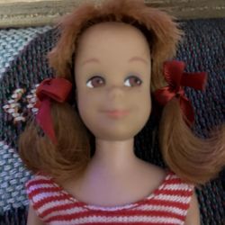 Barbie’s Little Sister And Friend