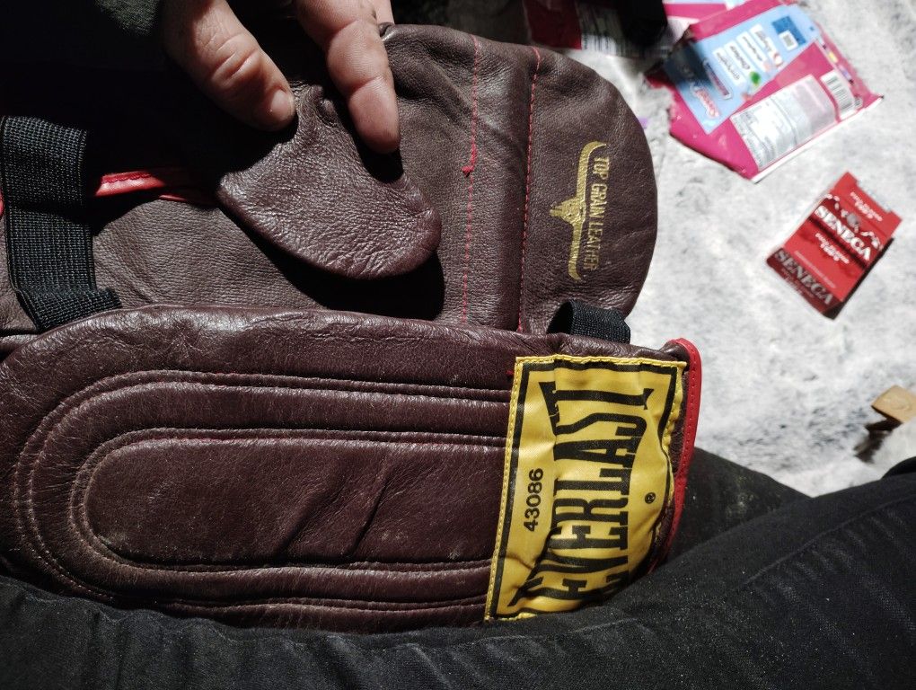 Everlast Boxing