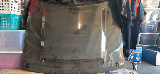 Carbon fiber hood