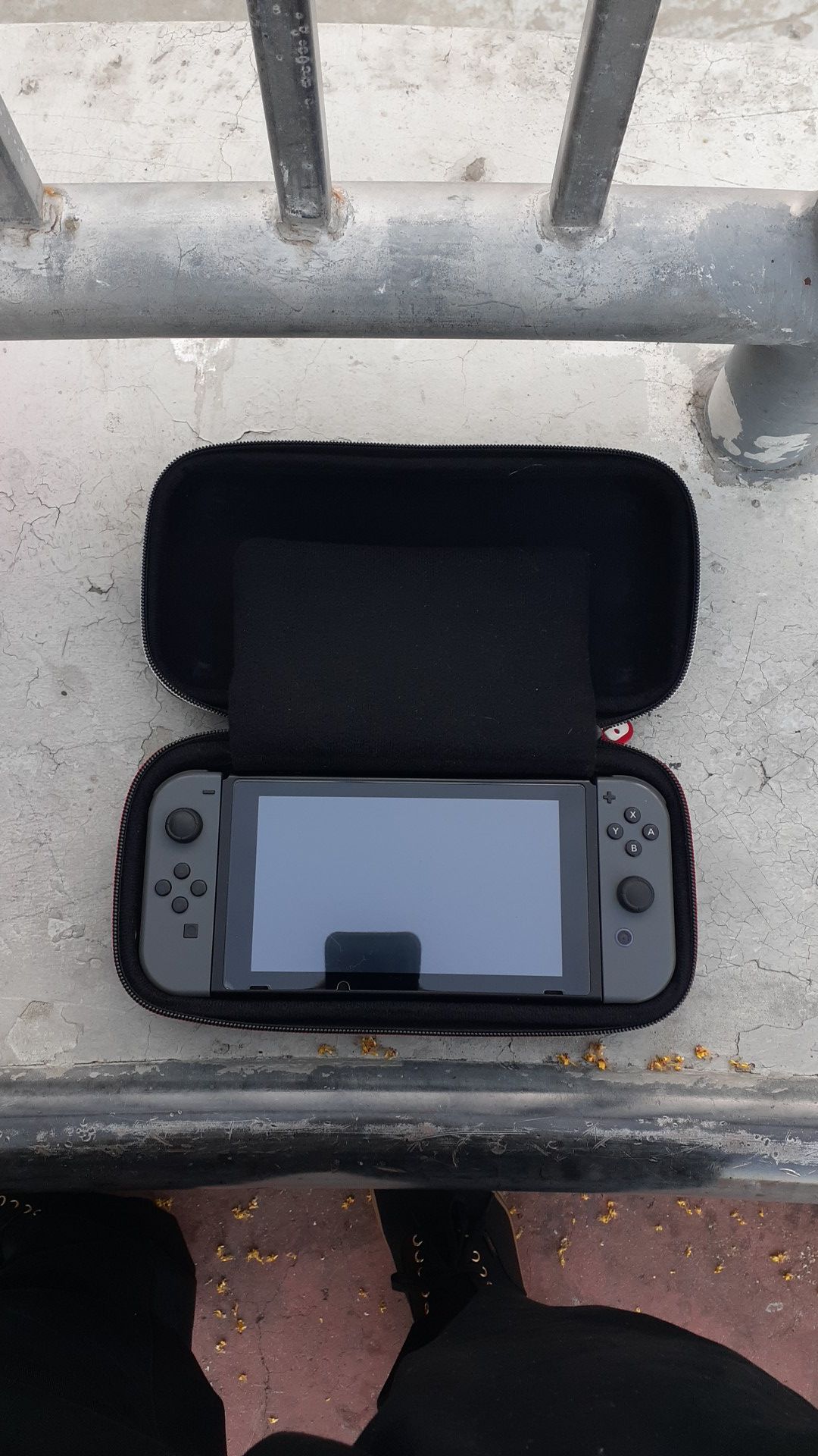 Nintendo Switch and accessories