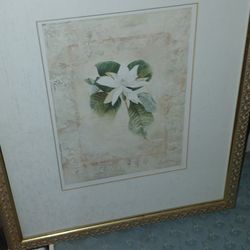 Flower Hanging Print