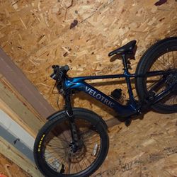 Electric Bike