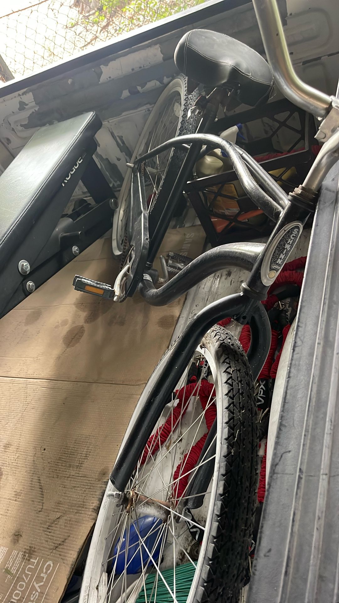 Schwinn beach cruiser