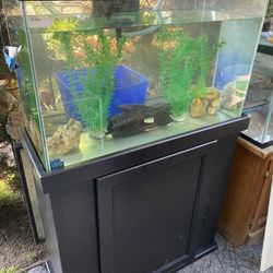 30 Gallon Fish Tank Aquarium