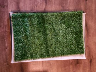 Dog bathroom mat