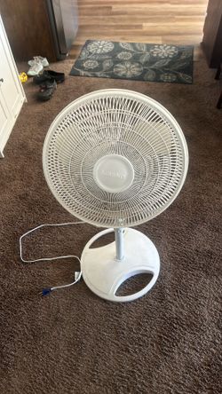 Standing Fan