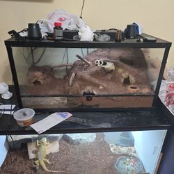 Reptile Tank 40 Gallons