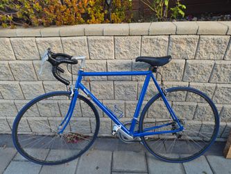 Trek 1200 Vintage Bike size 27 inch