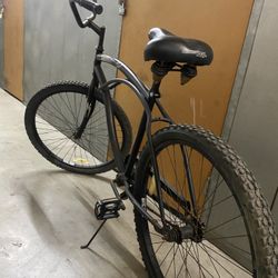 Bicycle Beach Cruiser 